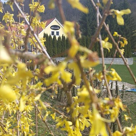 Penzion Kormorán Vranov nad Dyjí Exterior foto